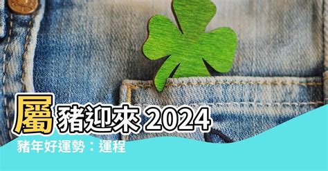 豬 運勢|【2024豬年】生肖豬2024好運滾滾來！屬豬運勢、幸。